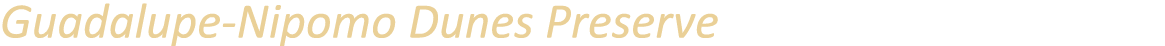 Guadalupe Nipomo Dunes Preserve