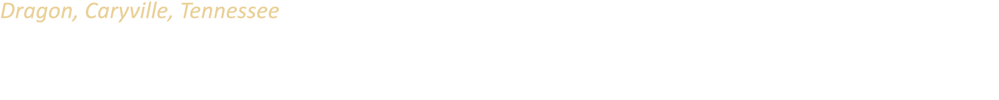 Dragon, Caryville, Tennessee Built in 1988 by artist Jim Cole as a mascot for an adjacent fireworks store, this 40 fo...