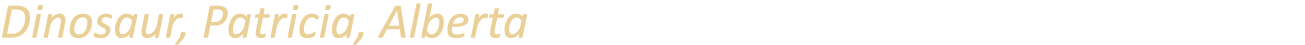 Dinosaur, Patricia, Alberta