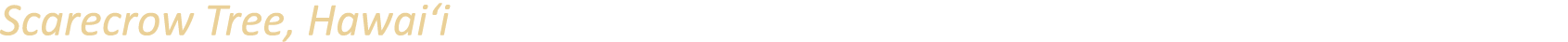 Scarecrow Tree, Hawai‘i
