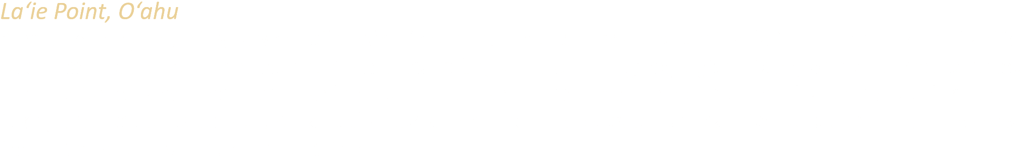 La‘ie Point, O‘ahu Surrounded by breaking waves, La‘ie Point lies on the tip of a sandstone peninsula jutting out int...