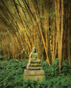 Allerton Botanical Garden