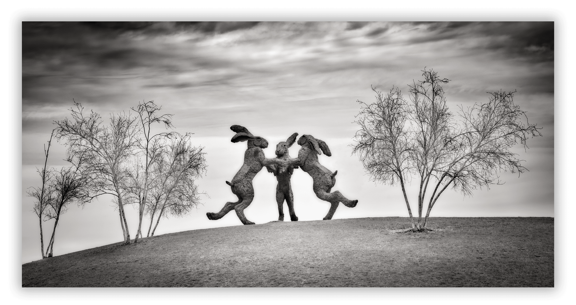 Dancing Rabbits, Dublin, OH