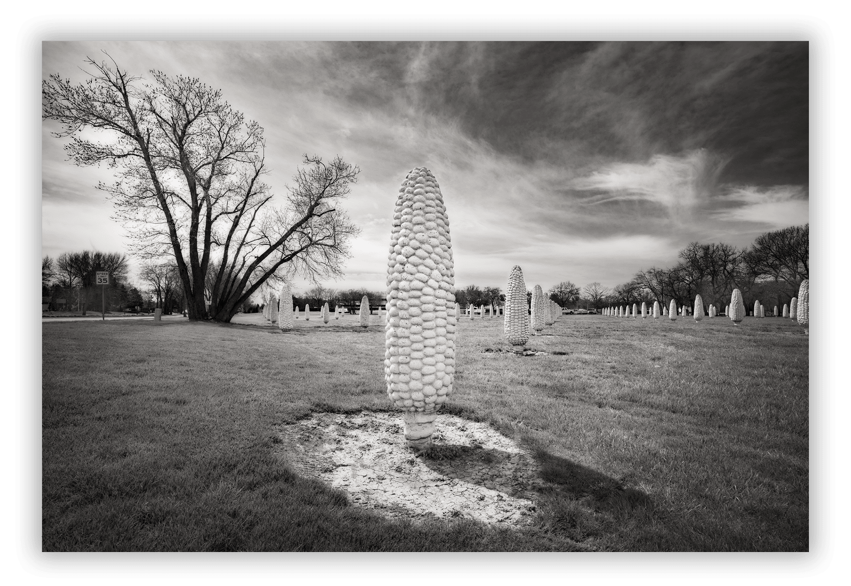 Field of Giant Corn Cobs, Dublin, OH