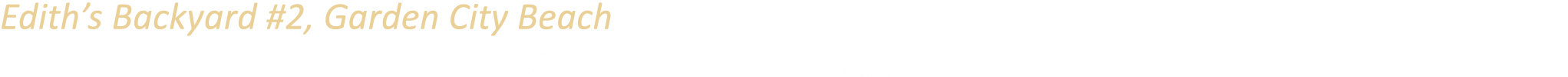 Edith’s Backyard #2, Garden City Beach Houses and boat docks line a tidal marsh at high tide on a foggy winter day.