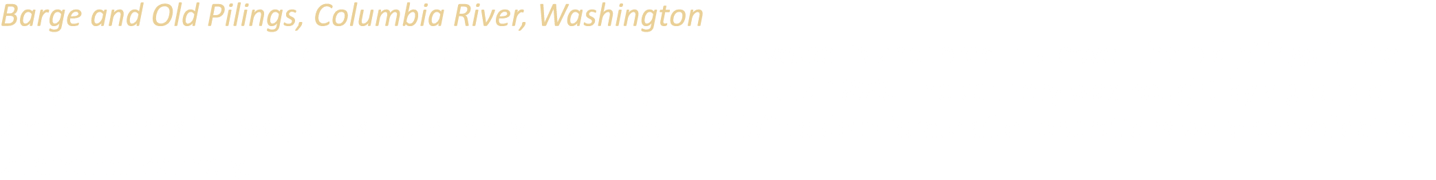 Barge and Old Pilings, Columbia River, Washington A barge brought in to aid in the scrapping of a nearby naval vessel...