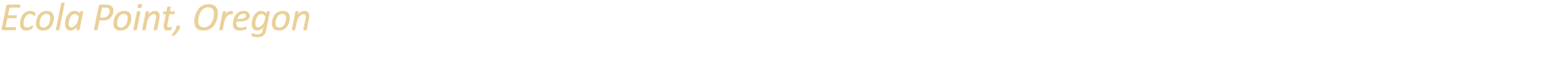 Ecola Point, Oregon Looking south from a promontory overlooking the Oregon coast.