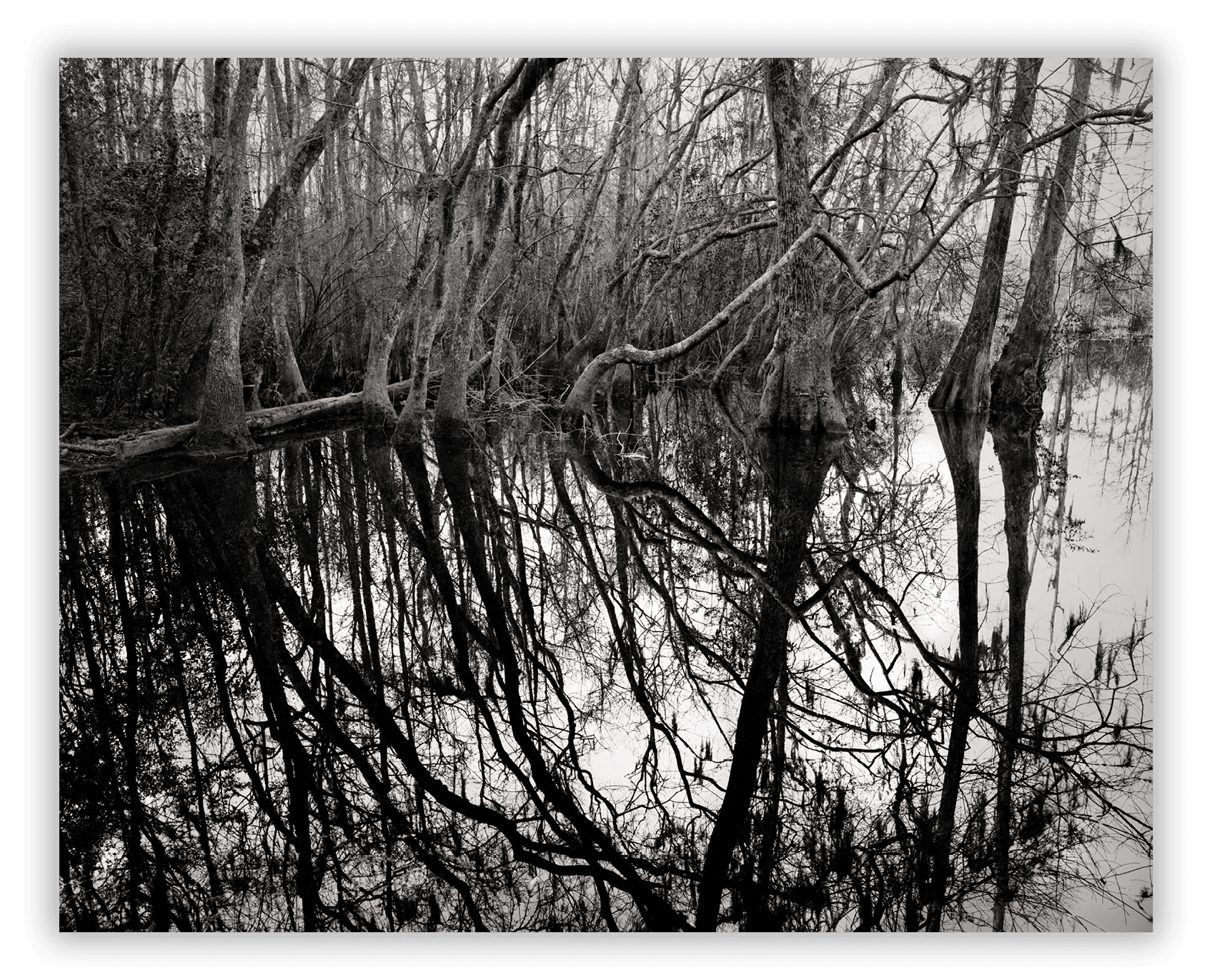 Imacon Color Scanner