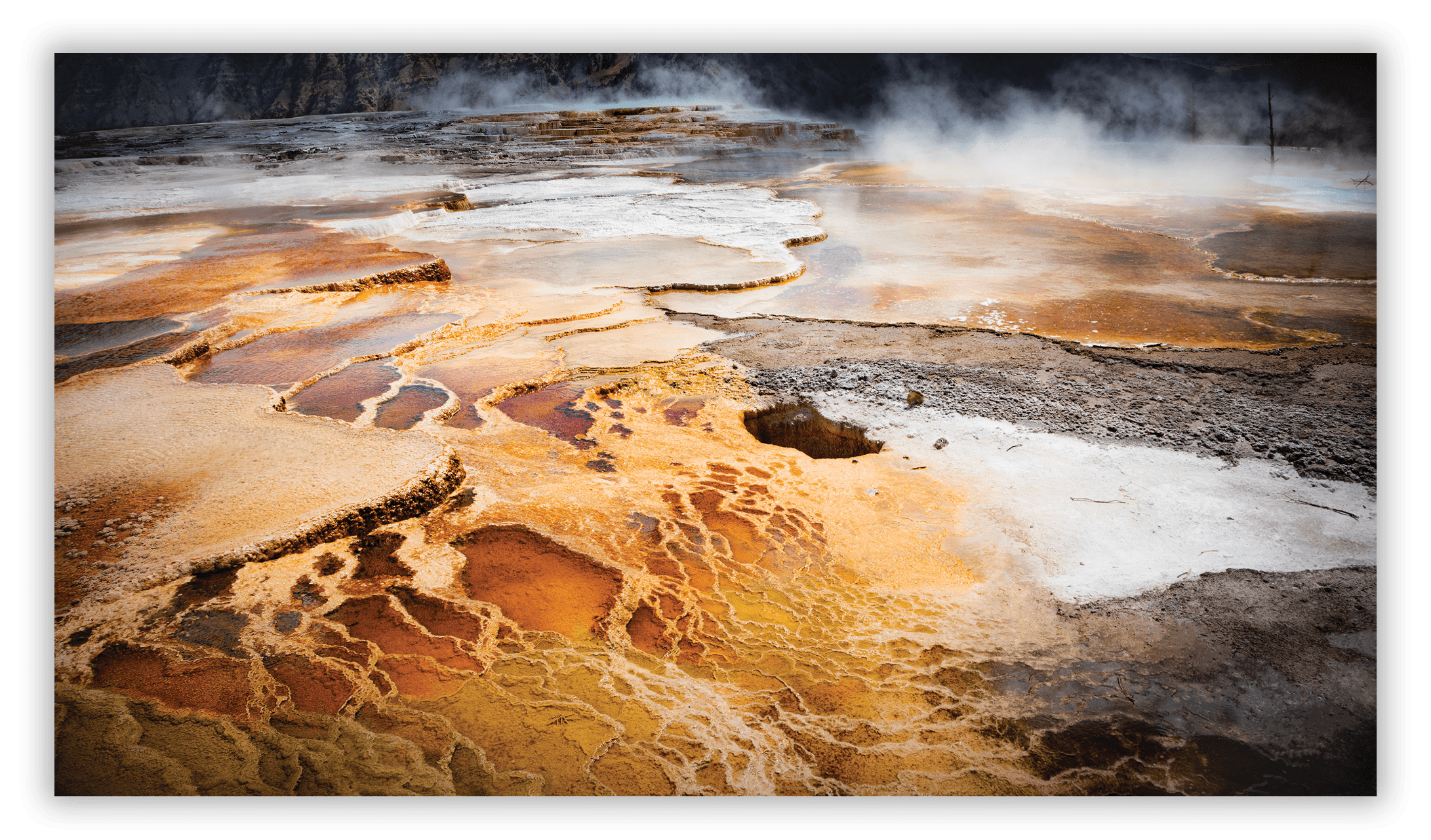 Mamoth Hot Springs Upper Terrace Canary Spring