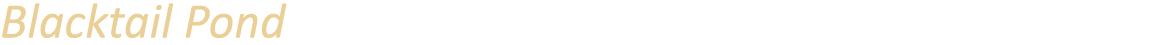 Blacktail Pond